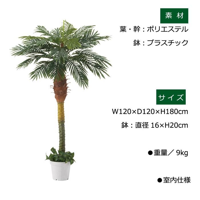 人工樹木 フェイクグリーン 180cm デラックスパームツリー EX6-428-25-1_1