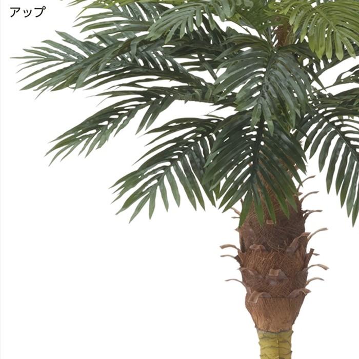 人工樹木 フェイクグリーン 180cm デラックスパームツリー EX6-428-25-1_2