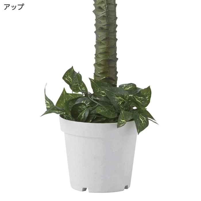 人工樹木 フェイクグリーン 180cm デラックスパームツリー EX6-428-25-1_3