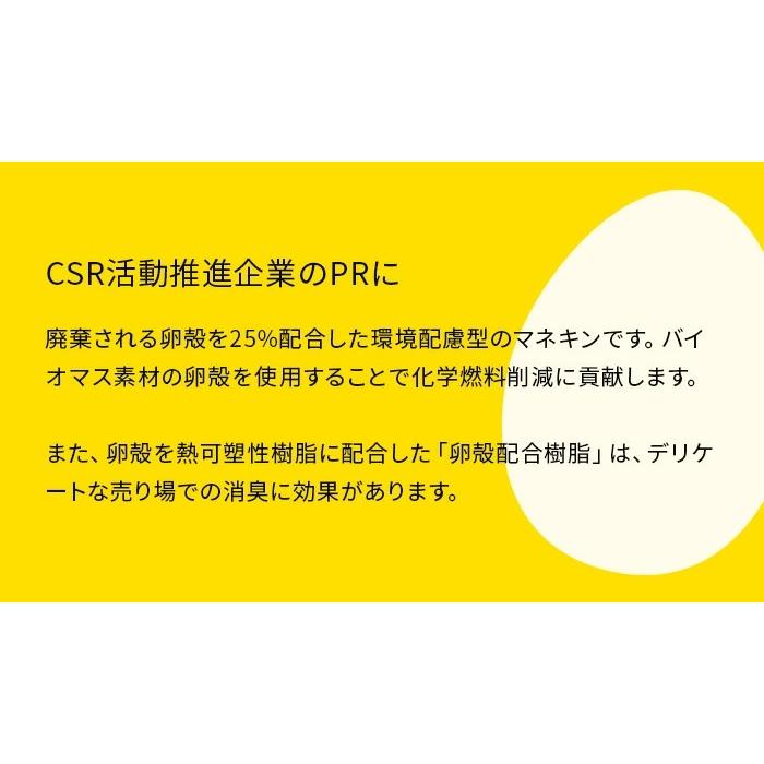 レディースマネキン 腕なし 卵殻配合樹脂 カツラギ布張り デュアルシステム SL7002A-1KAES25 |  | 02