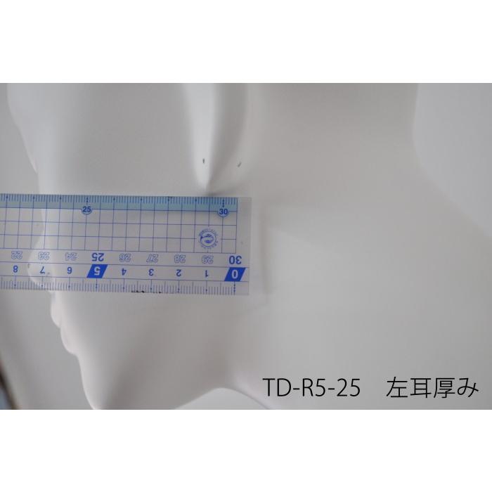 マネキンヘッド 頭 ピアス穴加工済み ホワイト ファイスあり 定番の