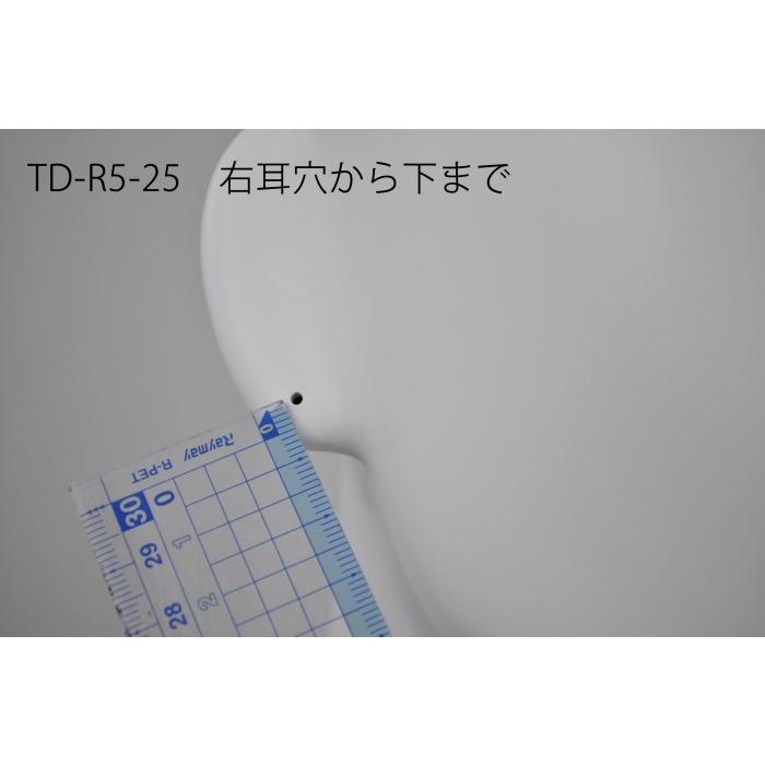 マネキンヘッド 頭 ピアス穴加工済み ホワイト ファイスあり 定番の