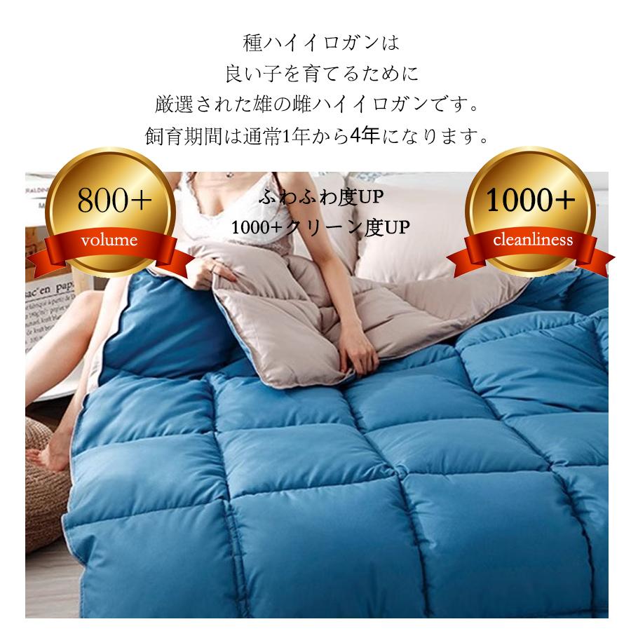 Ofen 羽毛布団 シングル ダブル グースダウン95％ 羽毛ふとん 掛け布団