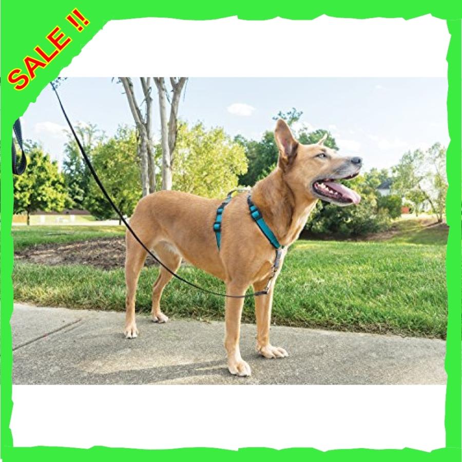 Petsafe 3 In 1 犬 ハーネス 大型犬 引っ張り防止 調整簡単 抜けない 耐久性が高い 夜間反射 車の中で安全 ティール ハーネスリード Whitemud Com