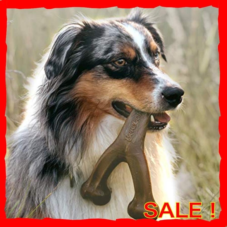 コンビ ベネボーン Toy ピーナツバター デンタルチュー オモチャ 犬用 M おもちゃ