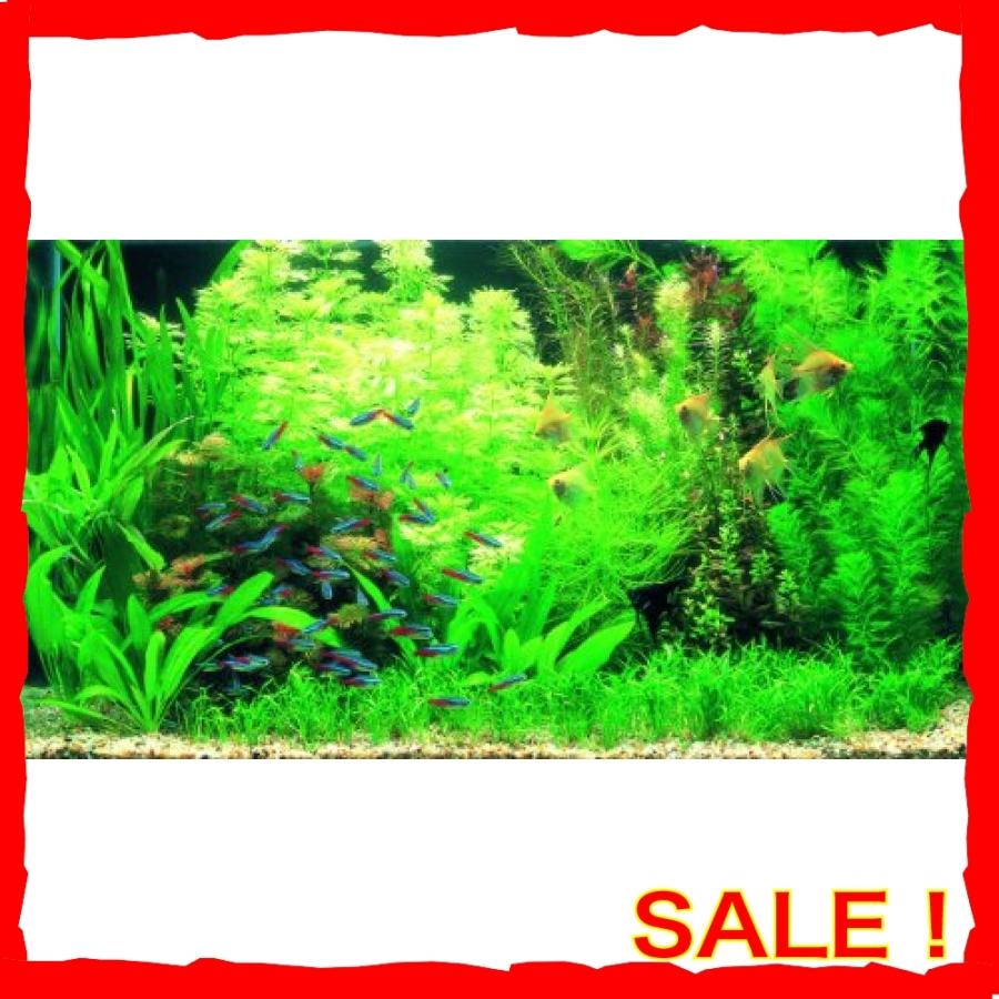 テトラ Tetra フローラプライド 250ml Wssj B0012uqqwi Diva本店 通販 Yahoo ショッピング