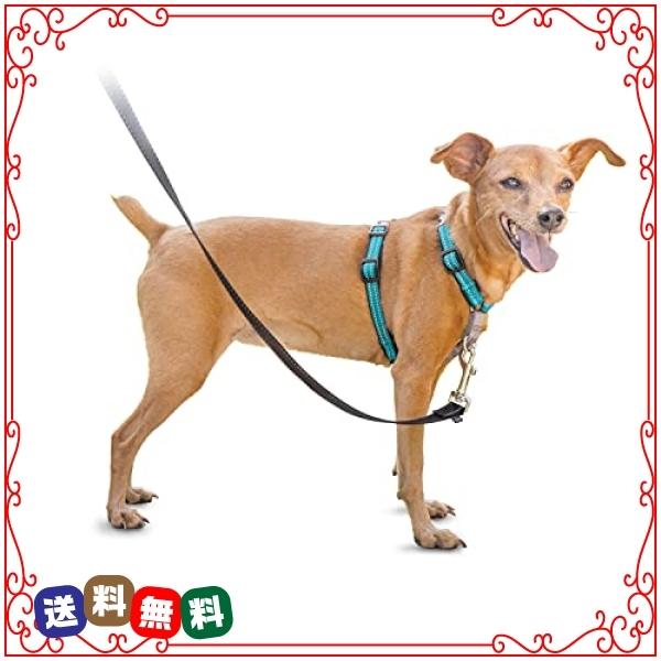 Petsafe 3 In 1 犬 ハーネス 小型犬 引っ張り防止 調整簡単 抜けない 耐久性が高い 夜間反射 車の中で安全 Xs グリ ハーネスリード Ensino Ssp Go Gov Br