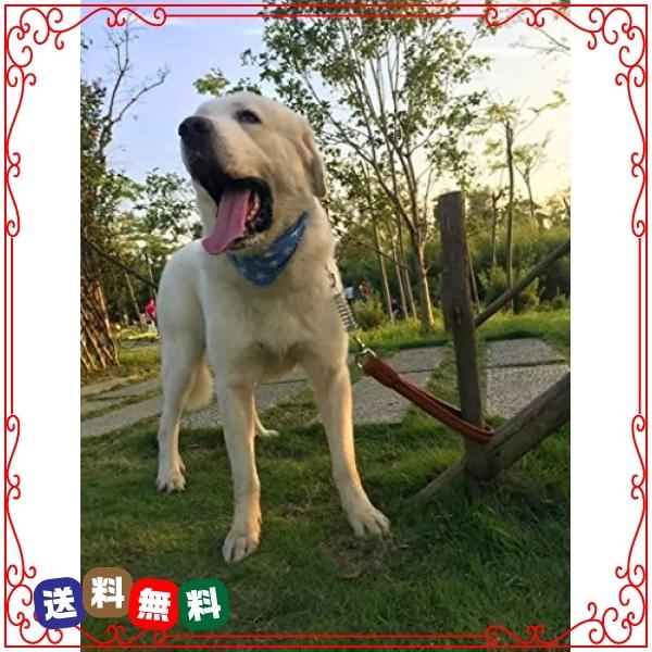 Rantow 犬のための強い皮ひも 犬のリーシュ 50 2 5cm 大きな犬のための厚い皮ひも 黒 Wss 936vwgulompc Diva2号店 通販 Yahoo ショッピング