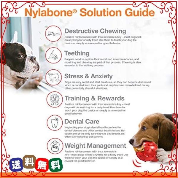 ナイラボーン Nylabone ワンちゃん用 チキン風味 ウィッシュボーン型 チューイングトイ 犬用 噛むおもちゃ ペッ Wssj B0010p0ysw Diva2号店 通販 Yahoo ショッピング