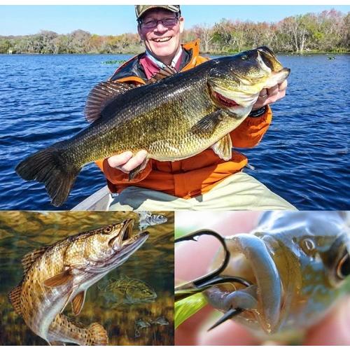 【R-0018】海釣り 淡水 ルアー セット, 5個セット アシストフック 渓流ルアー シーバス ヒラメ オールシーズン 8.5cm 8.4g フローティングミノー |  | 05