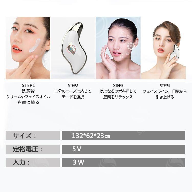 かっさプレート 電動かっさプレート かっさ 電動カッサ 美顔器 振動 温