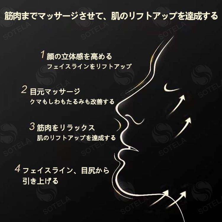 かっさプレート 電動かっさプレート かっさ 電動カッサ 美顔器 振動 温