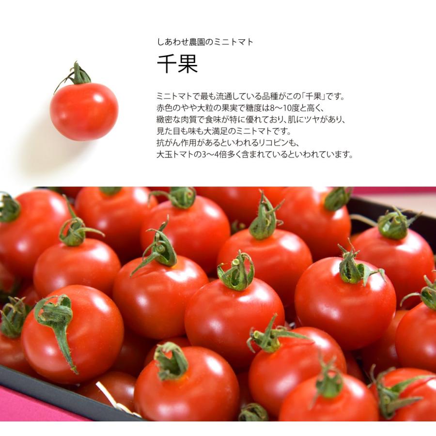 ギフト トマト 内祝い しあわせ農園の千果トマト 600g F Tom T600 しあわせギフトdiversionshop 通販 Yahoo ショッピング