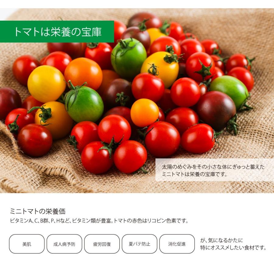 ギフト トマト 内祝い しあわせ農園の千果トマト 600g F Tom T600 しあわせギフトdiversionshop 通販 Yahoo ショッピング