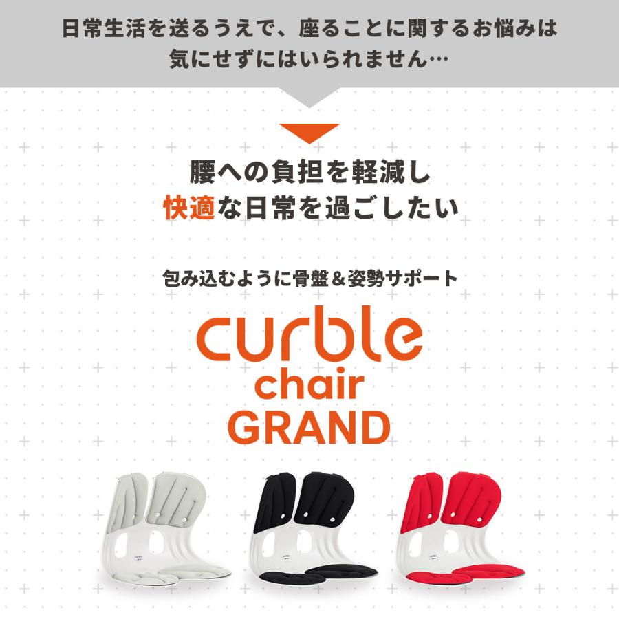 2個セット カーブルチェア グランド 骨盤 姿勢 猫背 サポート 2個セット カーブルチェア グランド 骨盤 姿勢 猫背 サポート