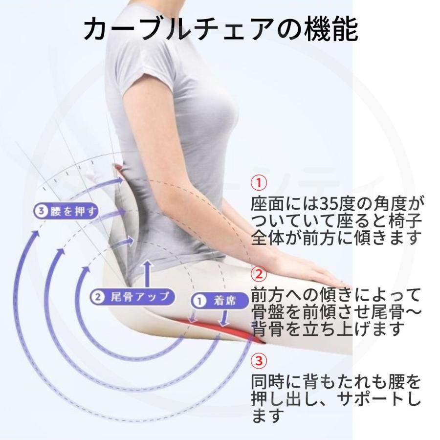 カーブルチェア ワイド 大きい 黒色 腰痛対策 猫背 美姿勢 骨盤 姿勢矯正クッション 椅子 クッション テレワーク 在宅 お尻 Ablue 送料無料 8809395551171 ダイバーシティの森 通販 Yahoo ショッピング