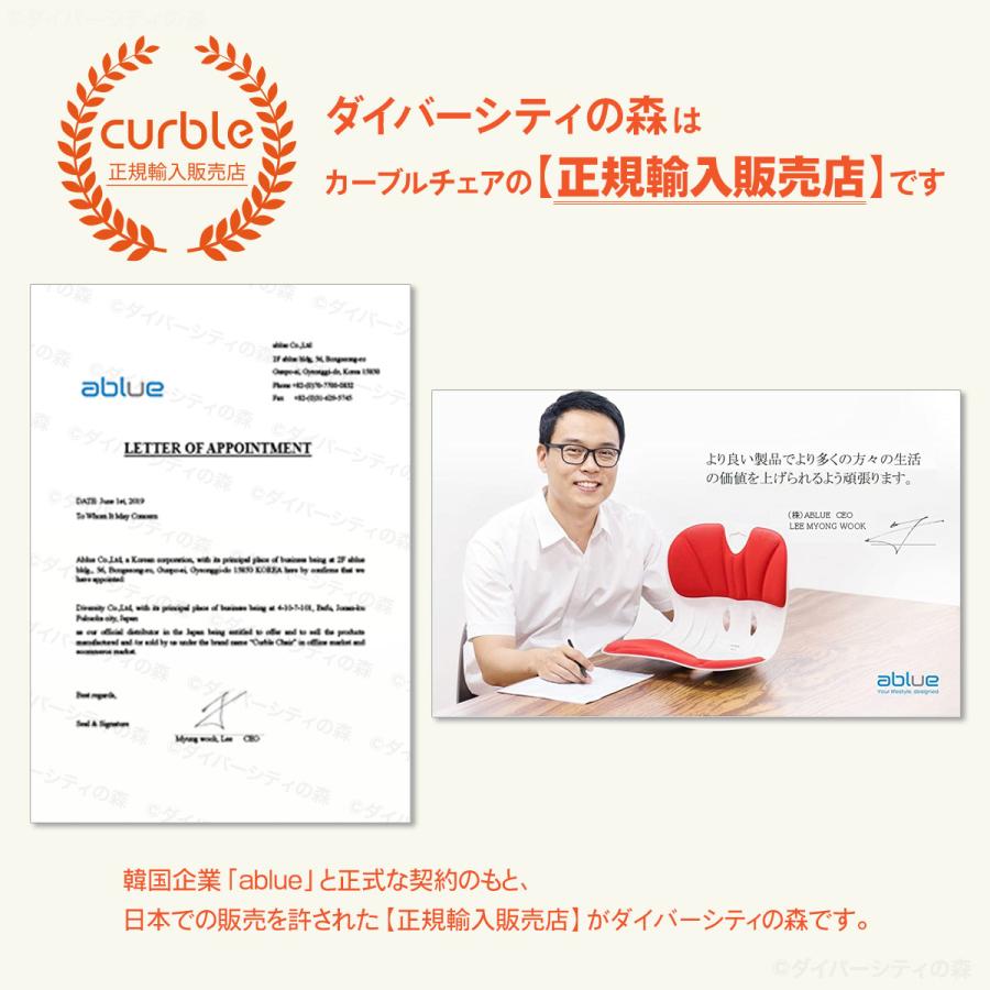 カーブルチェア グランド 姿勢を良くする 姿勢矯正 骨盤矯正 猫背