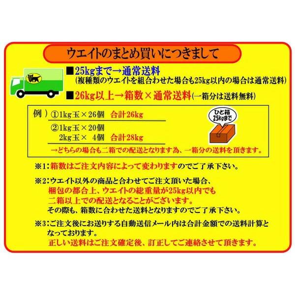 日光社 ダイビングウェイト ソフトウエイト2kg : DIVING-HID - 通販 