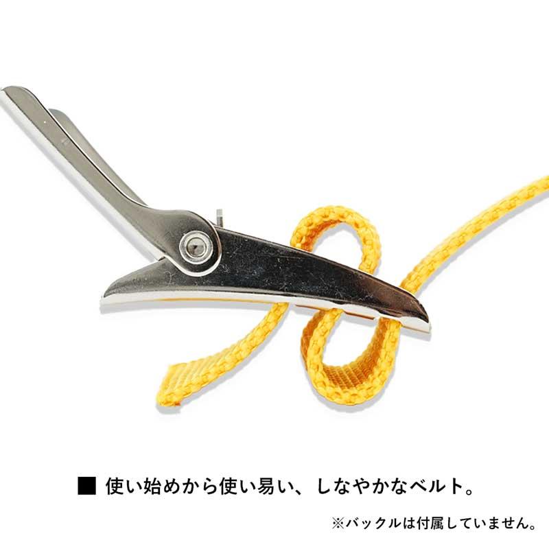 ウェイトベルト The Standard ザ・スタンダード ナイロンベルト