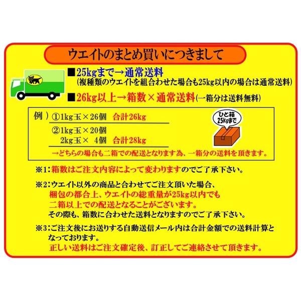 ダイビング ウェイト カラーウェイト 1kg 鉛 AROPEC アロペック | ブランド登録なし | 04
