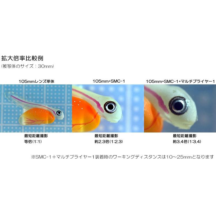 Fisheye(フィッシュアイ)　NA マルチプライヤー1 [エクストラコンバージョンレンズ]｜divinggear｜02