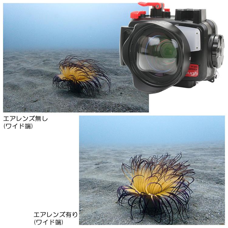 WEEFINE WF ワイドエアレンズ WFL11M52【21191】｜divinggear｜02