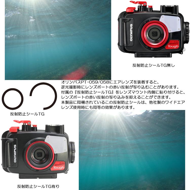 WEEFINE WF ワイドエアレンズ WFL11M52【21191】 : DivingGear - 通販