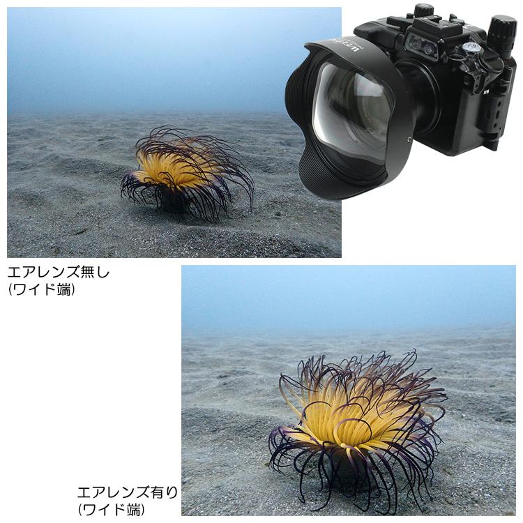 WEEFINE WF ワイドエアレンズ WFL12M67【21192】 