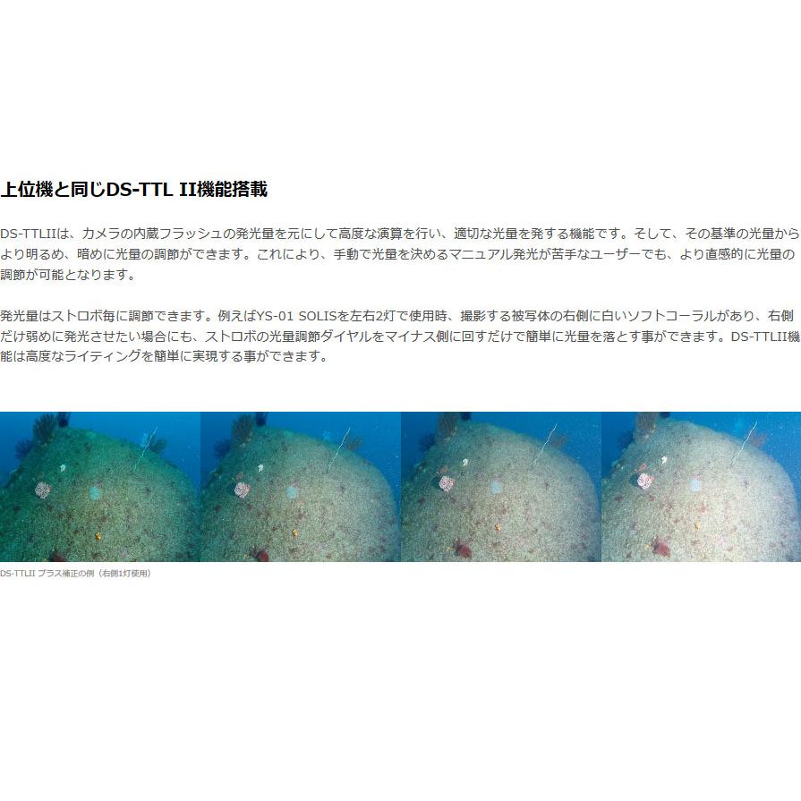 SEA&SEA (シーアンドシー) YS-01 SOLIS 水中ストロボ [03124 SEA&SEA (シーアンドシー) YS-01 SOLIS 水中ストロボ [03124