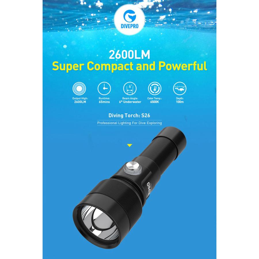 DIVEPRO ダイブプロ [S26] 2600ルーメン コンパクトダイブライト 国内