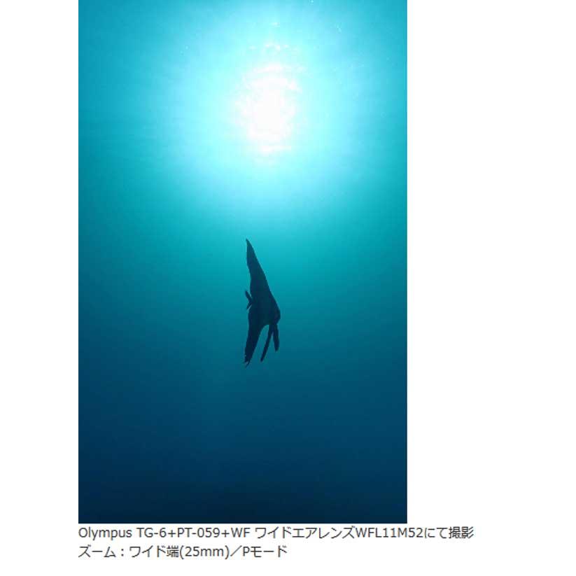 Fisheye (フィッシュアイ) WF ワイドエアレンズWFL11M52 Fisheye (フィッシュアイ) WF ワイドエアレンズWFL11M52