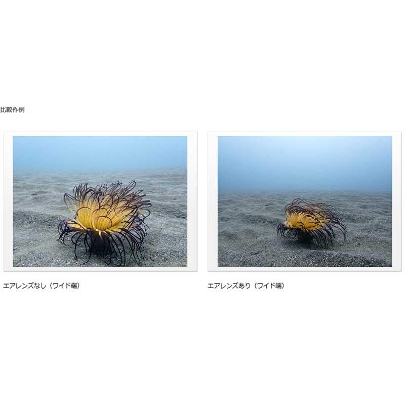 Fisheye (フィッシュアイ) WF ワイドエアレンズWFL11M52 Fisheye (フィッシュアイ) WF ワイドエアレンズWFL11M52