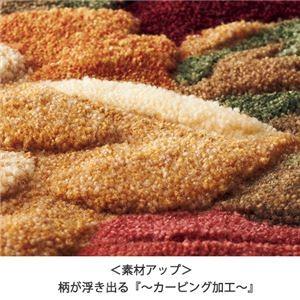 ロイヤルフック玄関マット 〔4： 約150cm×90cm〕 エンジ 〔室内/屋内用〕 ロイヤルフック玄関マット エンジ 〔室内/屋内用〕