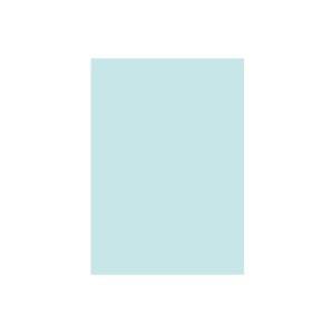 (業務用2セット)　北越製紙　カラーペーパー　ブルー(青)　リサイクルコピー用紙　日本製　〔B5　500枚×5冊〕