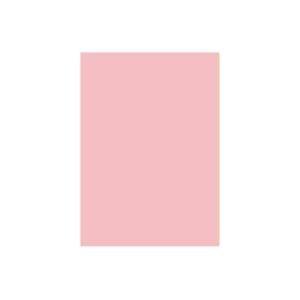 (業務用2セット) 北越製紙 カラーペーパー リサイクルコピー用紙 〔B5 500枚×5冊〕 日本製 ピンク