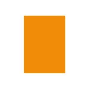 (業務用2セット)　北越製紙　カラーペーパー　日本製　リサイクルコピー用紙　〔B5　500枚×5冊〕　オレンジ