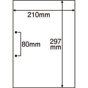 （まとめ）　TANOSEE　マルチプリンター帳票（FSC森林認証紙）　A4白紙　〔×2セット〕　2穴　1箱（500枚）