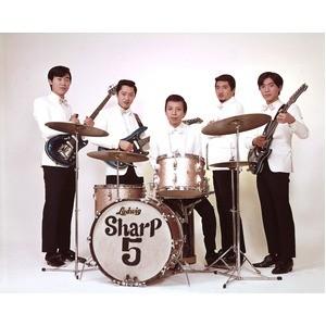 青春のエレキ・パーティー THE GOLDEN AGE OF JAPANESE ELECTRIC GUITAR 〔CD5枚 125曲〕 解説ブックレット カートンボックス 青春のエレキ パーティー THE GOLDEN AGE OF JAPANESE ELECTRIC GUITAR 解説ブックレット カートンボックス