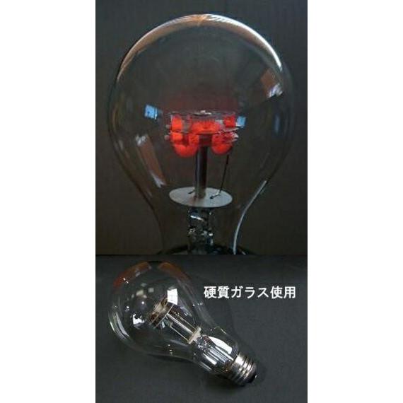 アサヒ ペットヒーター100W 小鳥や小動物を寒さから守る暖房器具