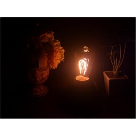 アサヒランプ 星座シリーズ 獅子座 白熱電球 昭和レトロ アサヒランプ 星座シリーズ 獅子座 白熱電球 昭和レトロ