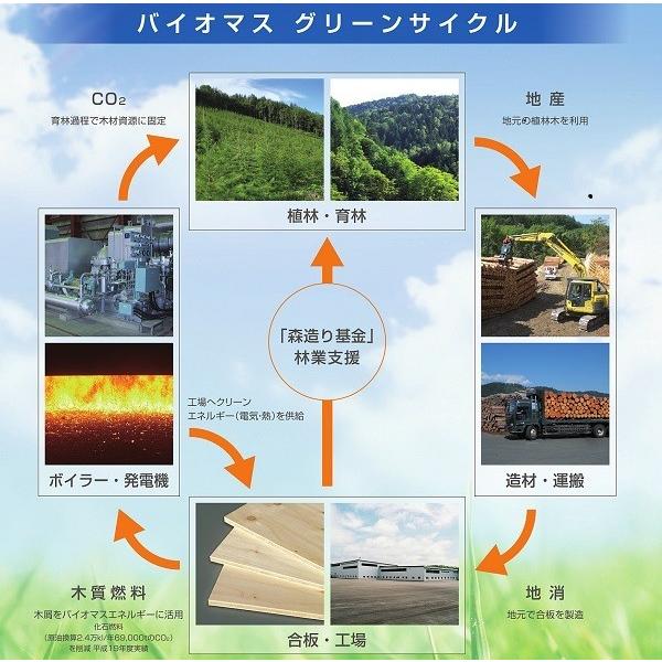 クロス用下地合板 地球樹mクロス 12 5mm 910mm 10mm A品 3枚組 約27 9kg Mc 1 3 Diy サポート ヤフー店 通販 Yahoo ショッピング