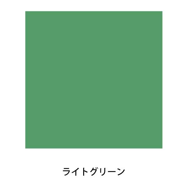 asahipen|アサヒペン　水性屋上防水遮熱塗料　ライトグリーン　10L　1点