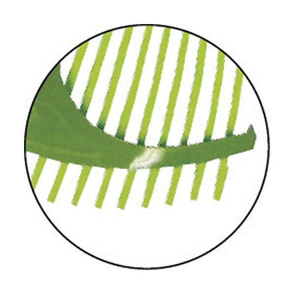 法人専用品※浅香工業 金象印 プラレーキL 152895 1点 : DIY