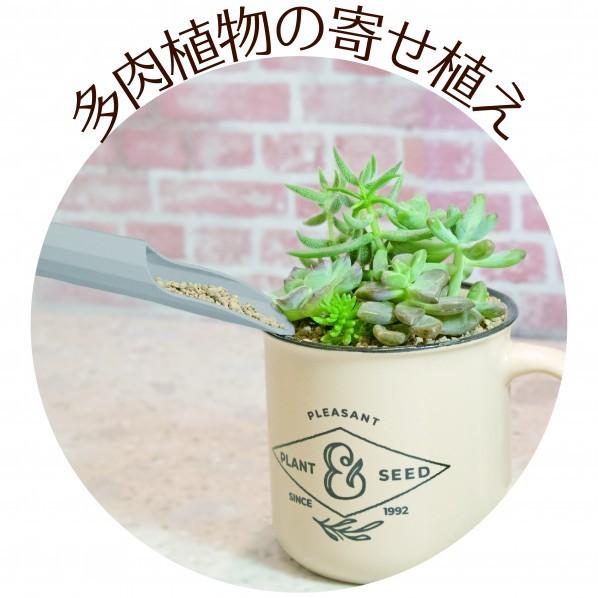 浅香工業FG プラ 多肉土入れ2点セットグレー193977 : DIY FACTORY