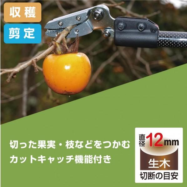 アルス アルス カーボンチョキ 採収型 160PCC-1.2Dの画像