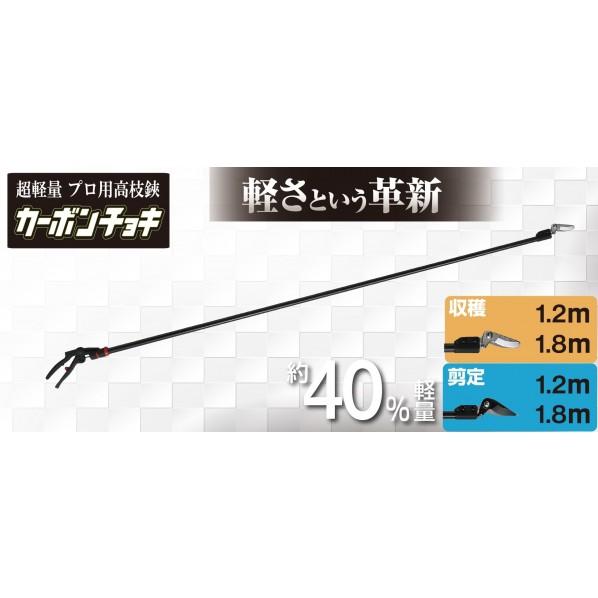 アルス アルス カーボンチョキ 採収型 160PCC-1.2Dの画像
