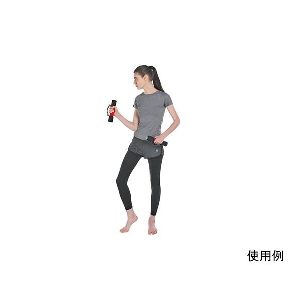 アズワン エクササイズ用ダンベル 1.5kg×2 EA763DK-7 64-7919-89 : DIY