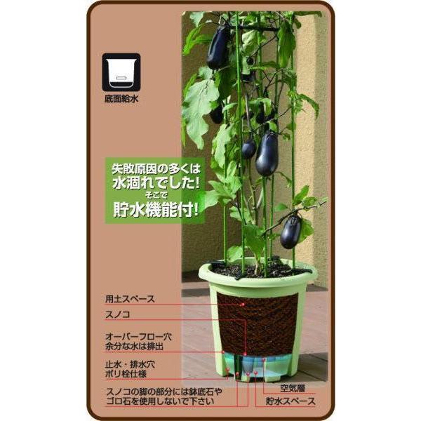 アップルウェアー 楽々菜園丸型プランター 植木鉢 5l サラダグリーン 外径248 240 2mm 240 A59 0001 Diy Factory Online Shop 通販 Yahoo ショッピング