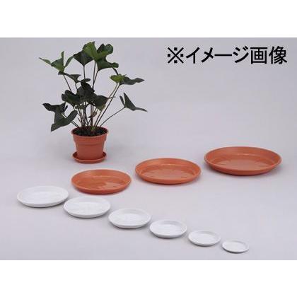 アップルウェアー 浅皿AP16号 テラコッタ 450φ×50mm : DIY FACTORY