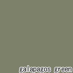 ベンジャミンムーアペイント リーガルセレクトマット艶消しエコ水性塗料 galapagos green 1L Q221-475｜diy-tool｜02